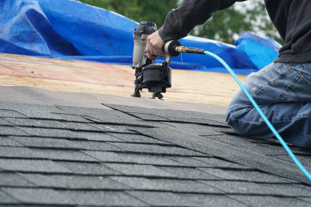 Quick and Trustworthy Emergency Roof Repair Services in Federal Heights, CO